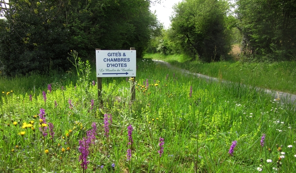 randonnée au départ du moulin du barthas