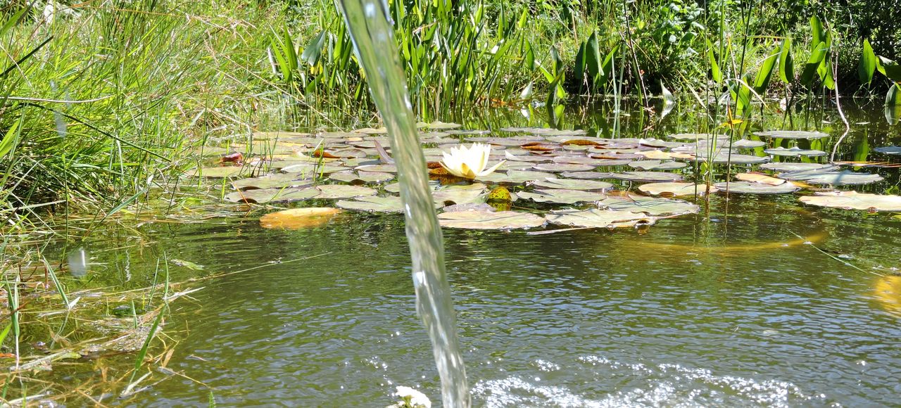Activités et découvertes autour du Moulin du Barthas dans le Tarn
