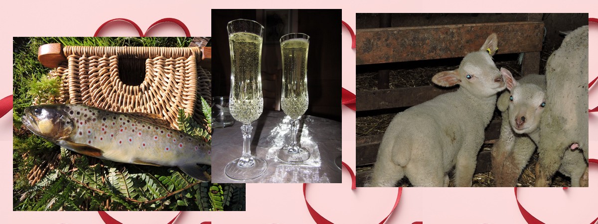Offrir un séjour au Moulin du Barthas : idées cadeaux