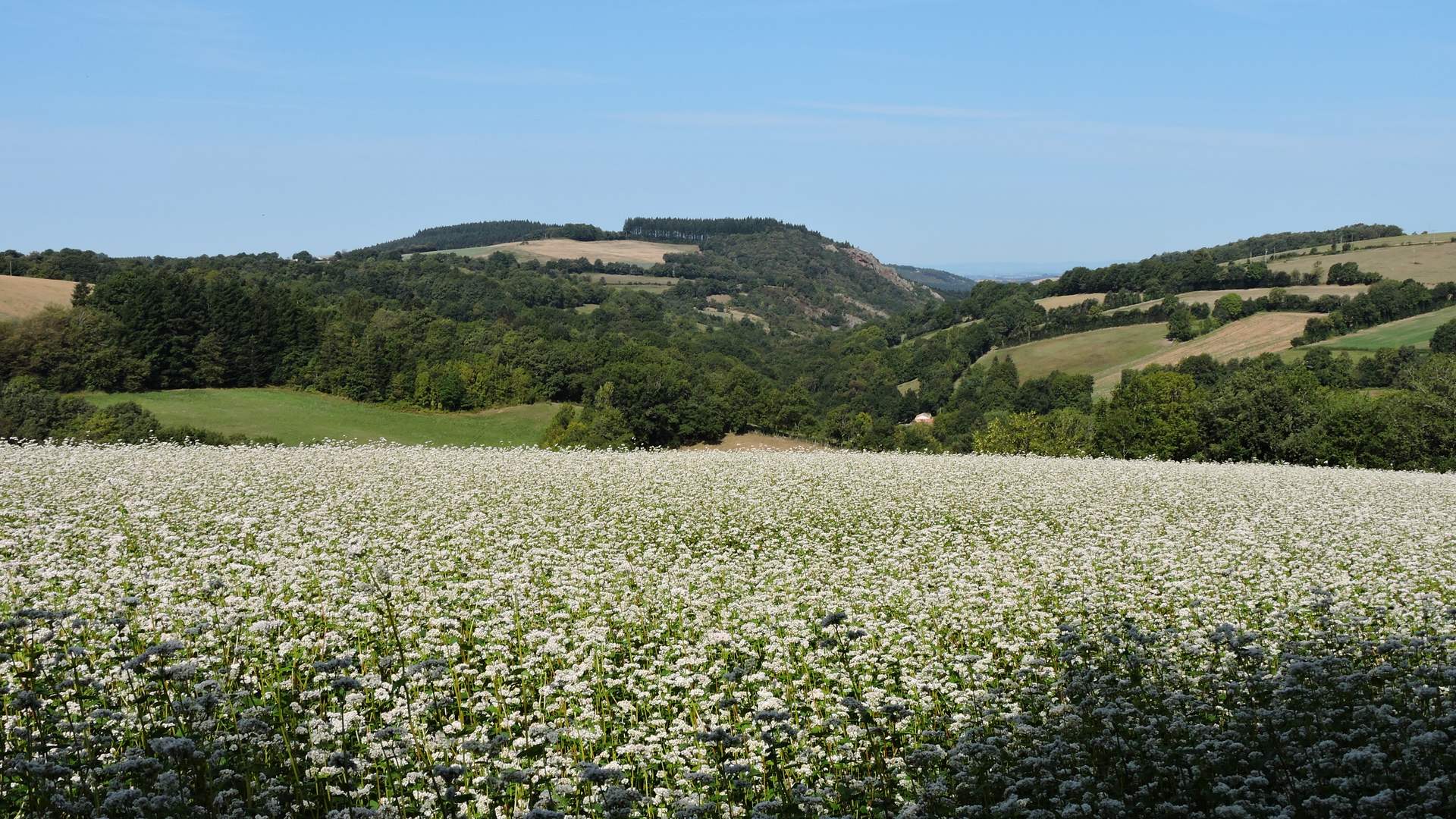Livre d’or du Moulin du Barthas