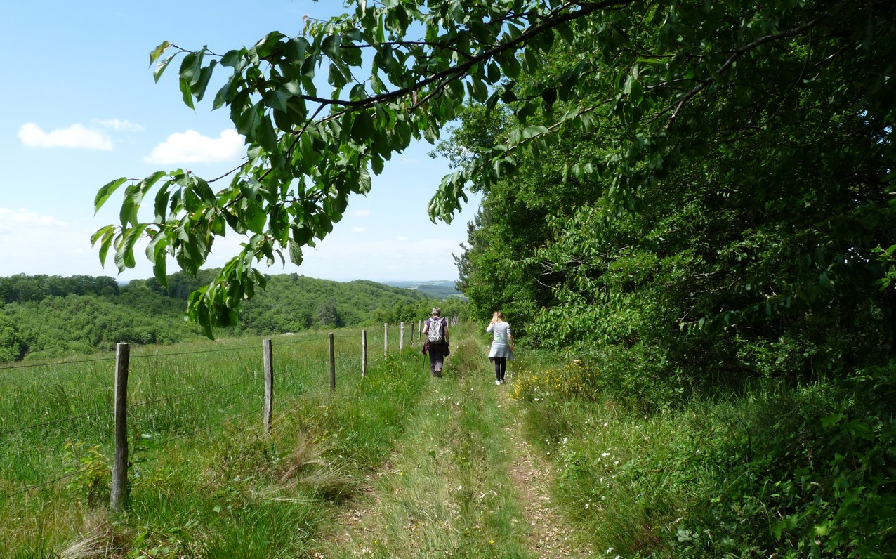 Randonnée autour du Moulin du Barthas, sentiers du Tarn